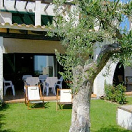 Oliveres 46 El Perelló المظهر الخارجي الصورة